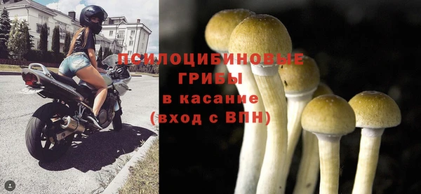 дмт Абаза