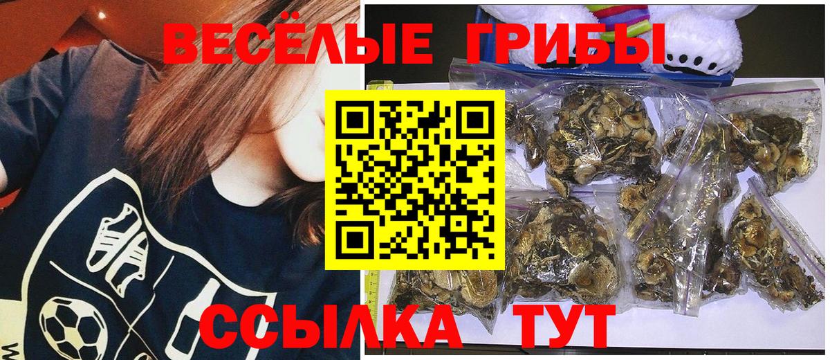 Ивантеевка  где можно купить наркотик  Вход с VPN  Псилоцибиновые грибы Cubensis 