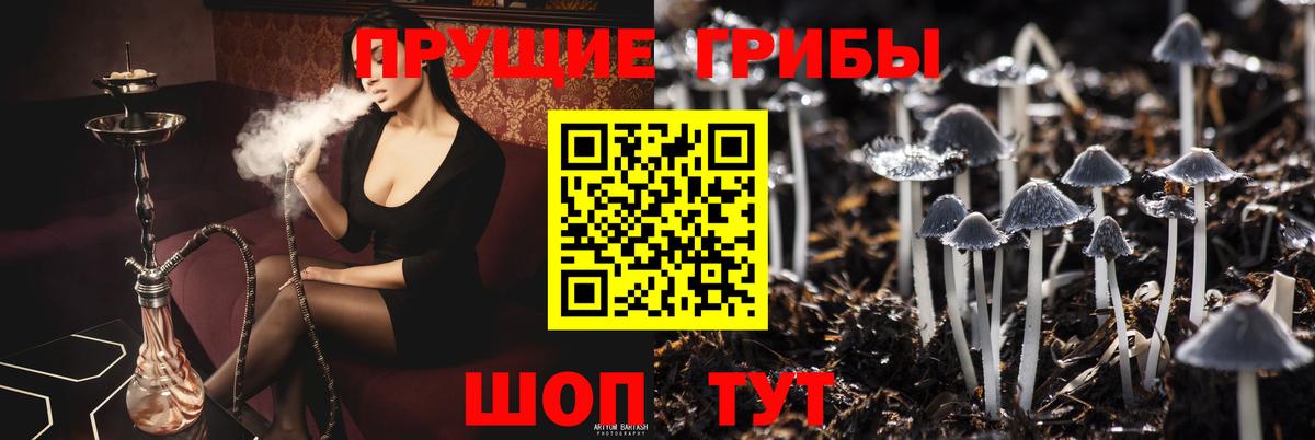 Галлюциногенные грибы мицелий Ивантеевка