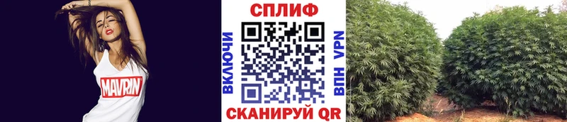 МАРИХУАНА THC 21%  закладка  Ивантеевка 